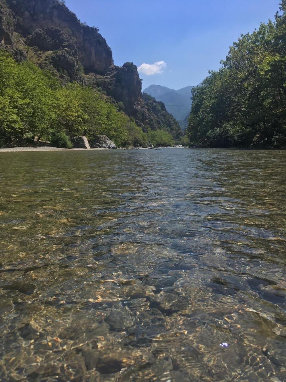 Konitsa Primula Appartement Buitenkant foto